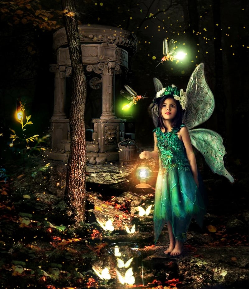 Fairy Garden